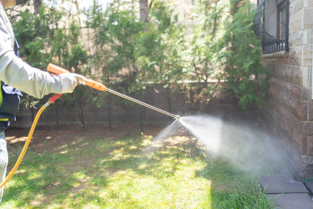 Best Pest Control Near Me  in West Modesto, CA