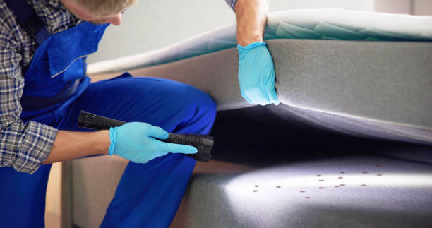 Best Emergency Pest Control  in West Modesto, CA