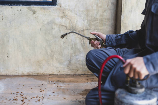 Best Commercial Pest Control Services  in West Modesto, CA